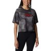 Womens * | Columbia Women'S Collegiate Park Box Tee Arkansas City Grey